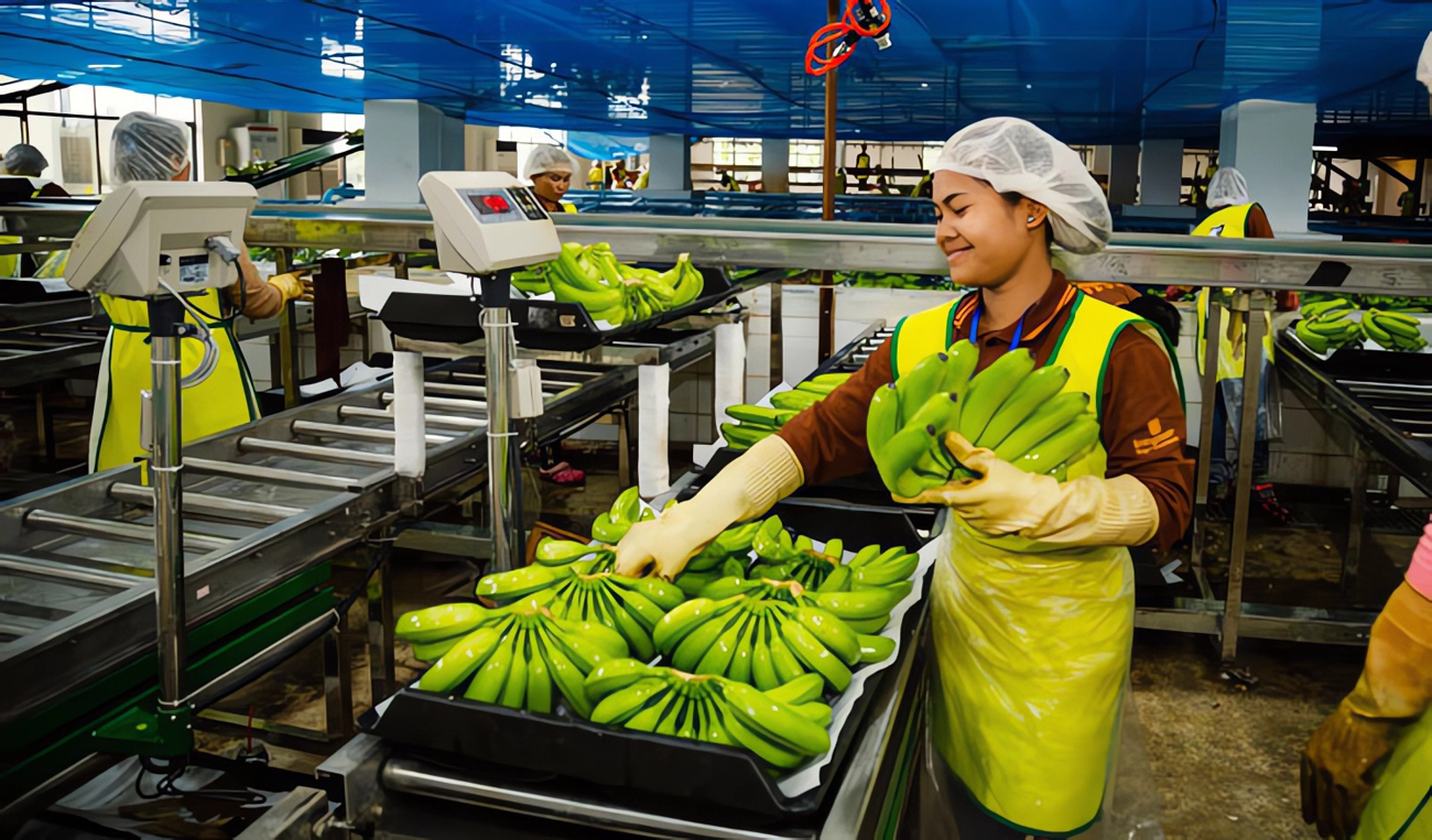 Malwa Agritech Storage