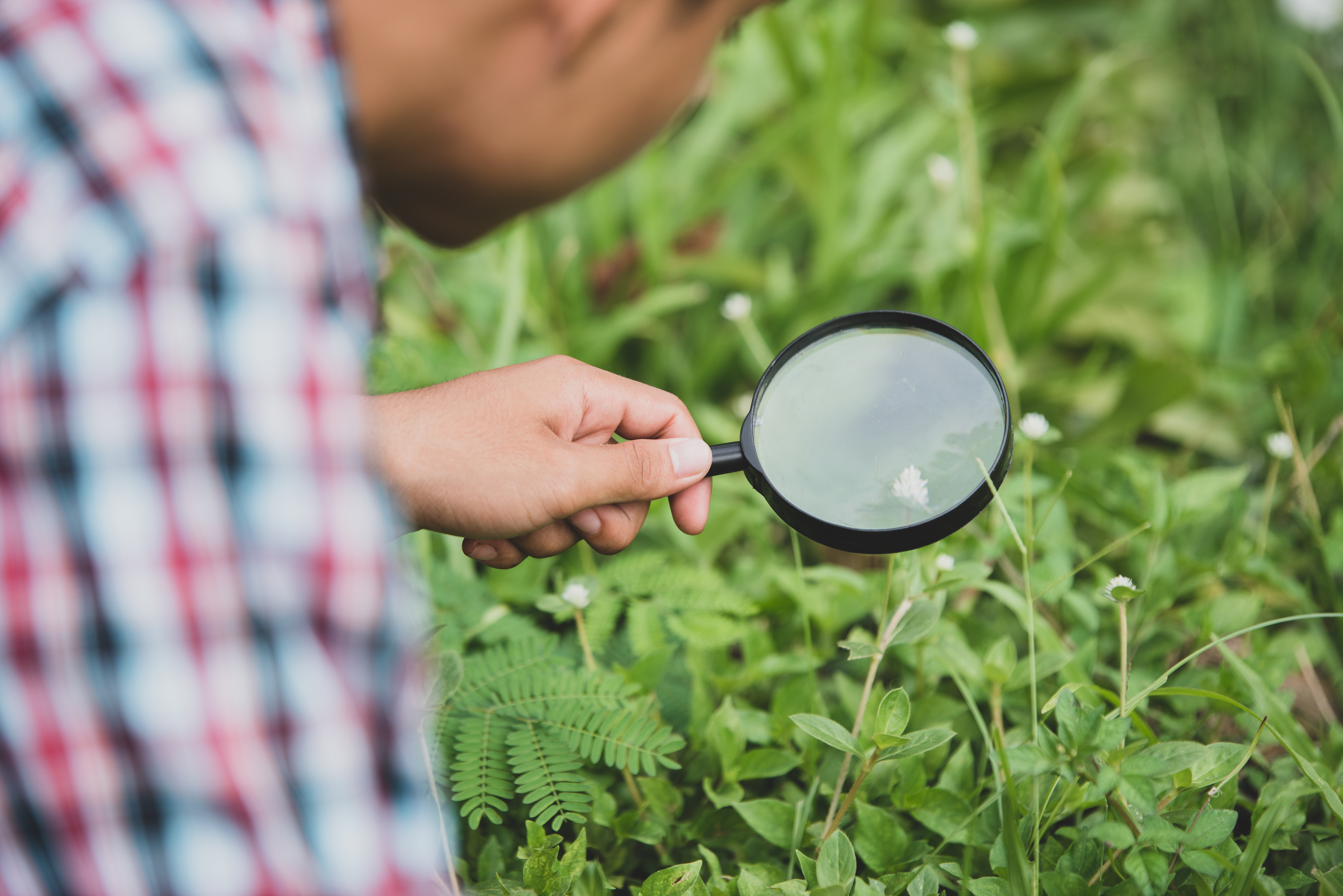 Malwa Agritech Research