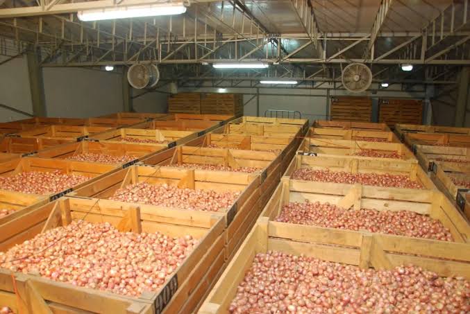 Onion Storage