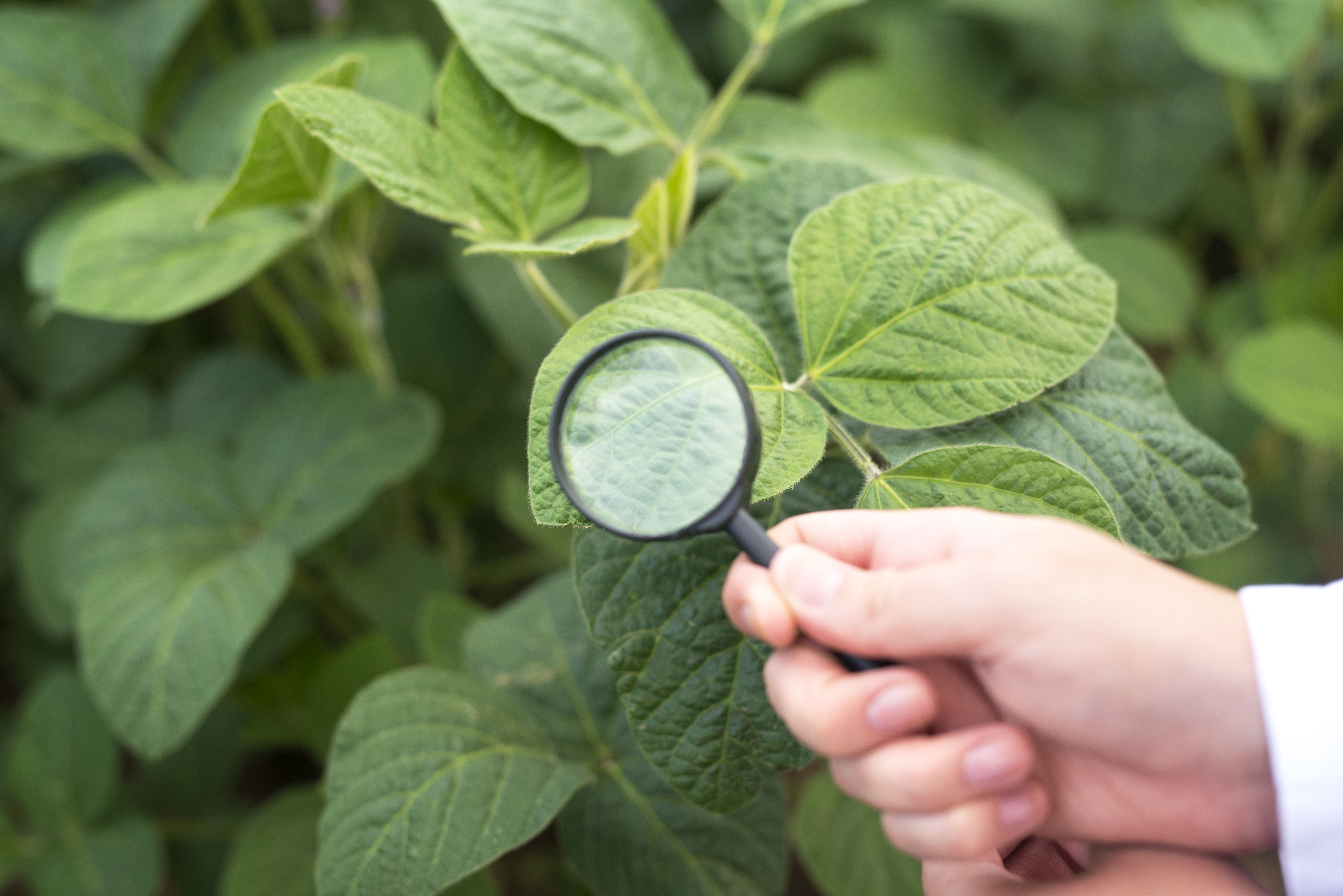 Malwa Agritech Research and Development